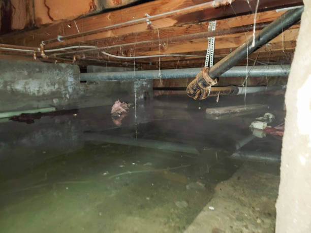 Best Water damage restoration near me  in Bonne Terre, MO