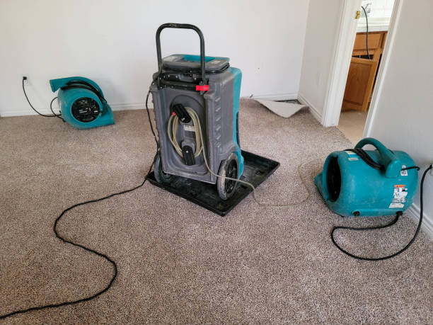 Best Water damage restoration process  in Bonne Terre, MO