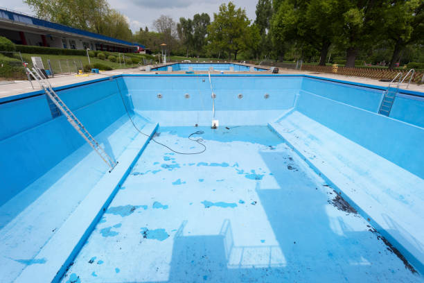 Best Mold removal after water damage  in Bonne Terre, MO