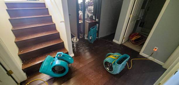 Best Water damage restoration cost  in Bonne Terre, MO