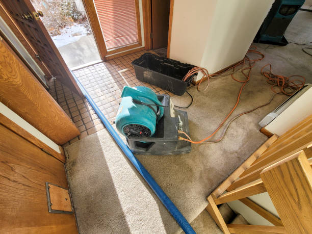 Best Professional water damage repair  in Bonne Terre, MO