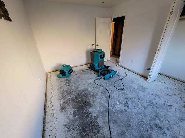 Best 24-hour water damage restoration  in Bonne Terre, MO