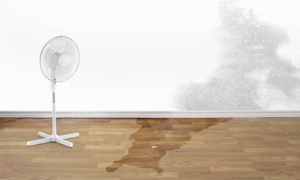Best 24/7 water damage repair  in Bonne Terre, MO