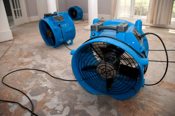 Best Water damage restoration near me  in Bonne Terre, MO
