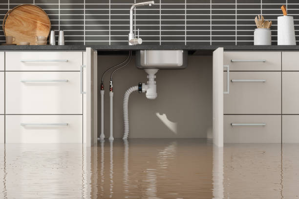 Best Local water damage restoration  in Bonne Terre, MO