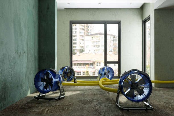 Best Commercial water damage restoration  in Bonne Terre, MO